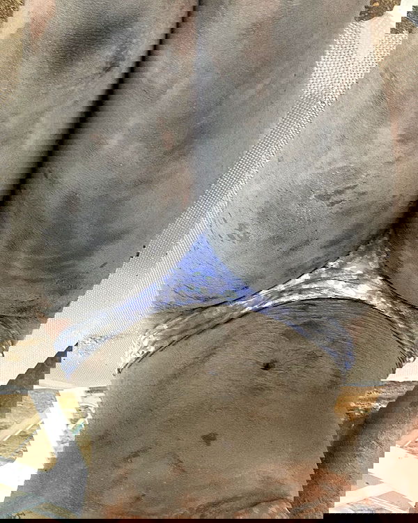 simp_for_cats_ simp_for_cats_ archive image