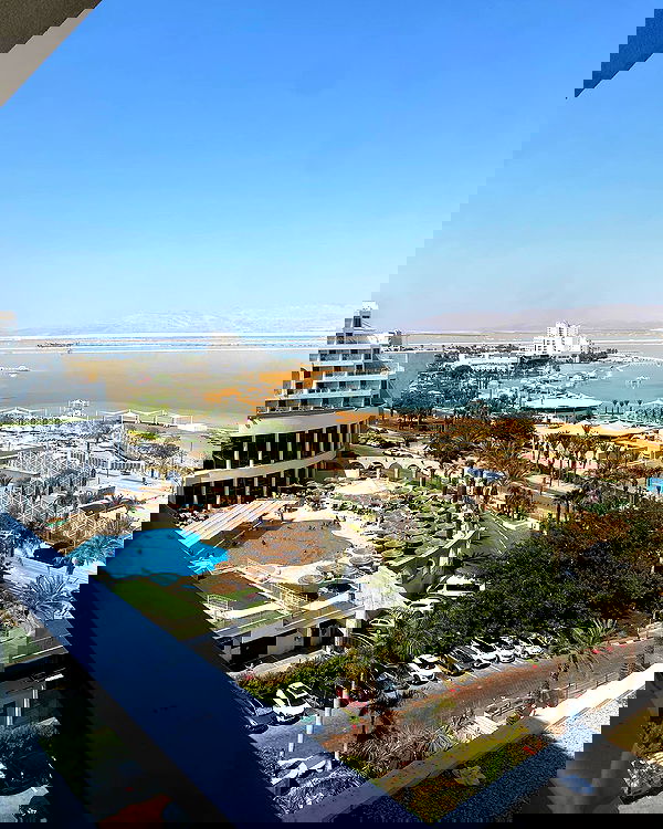 simp_for_cats_ simp_for_cats_ archive image