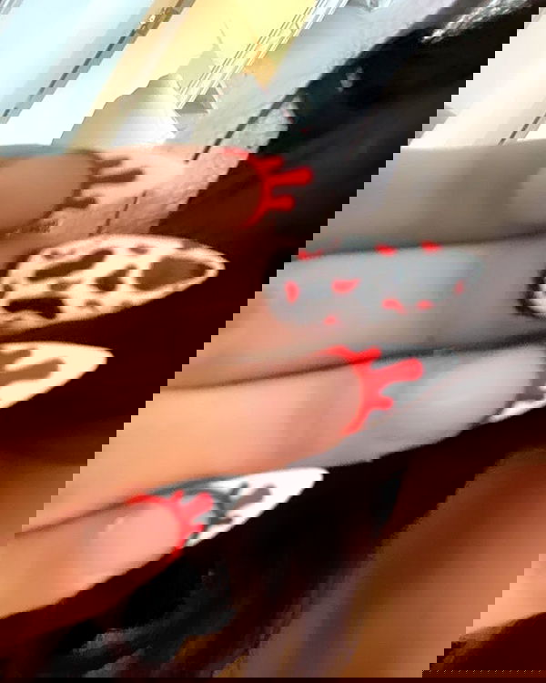 simp_for_cats_ simp_for_cats_ archive image