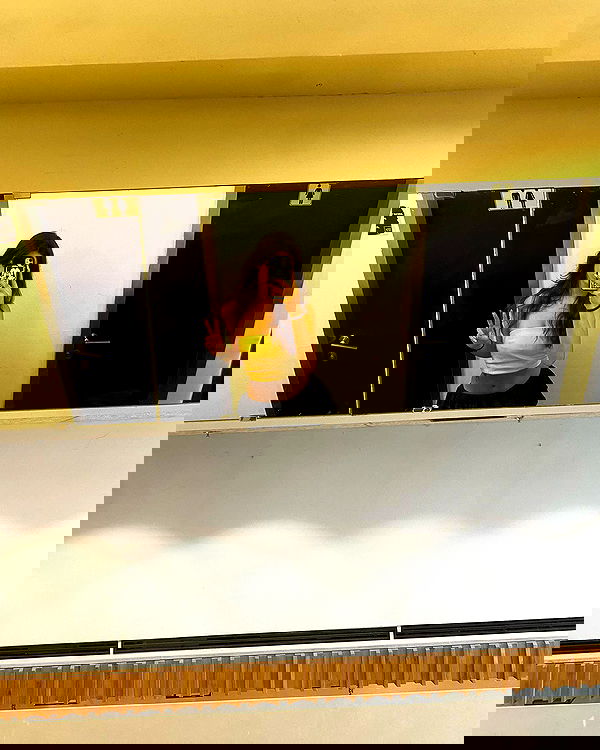 simp_for_cats_ simp_for_cats_ archive image