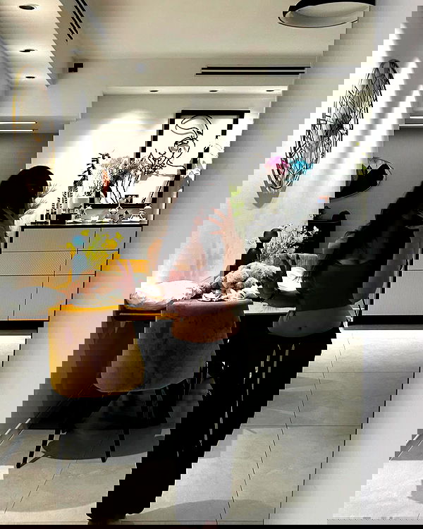 simp_for_cats_ simp_for_cats_ archive image