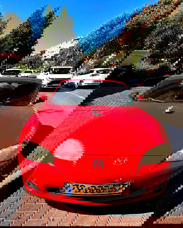 simp_for_cats_ simp_for_cats_ archive image