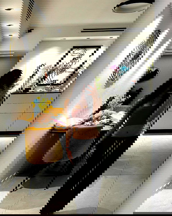 simp_for_cats_ simp_for_cats_ archive image