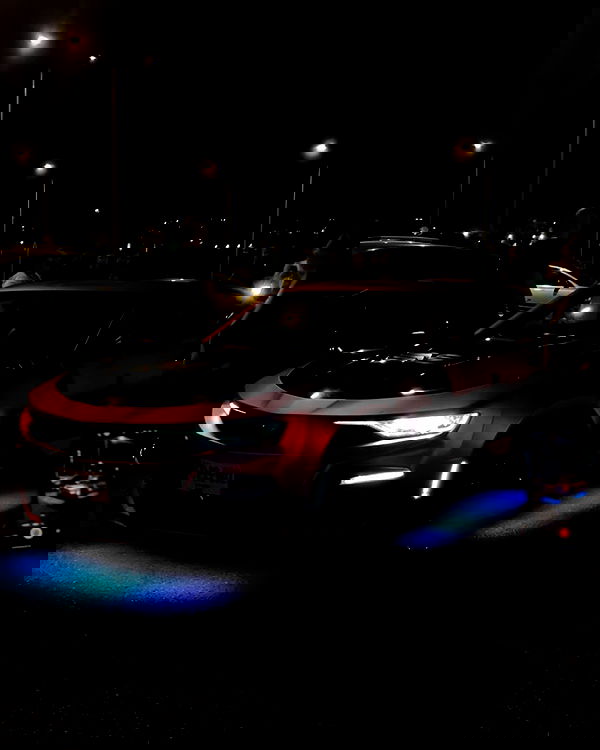 simp_for_cats_ simp_for_cats_ archive image