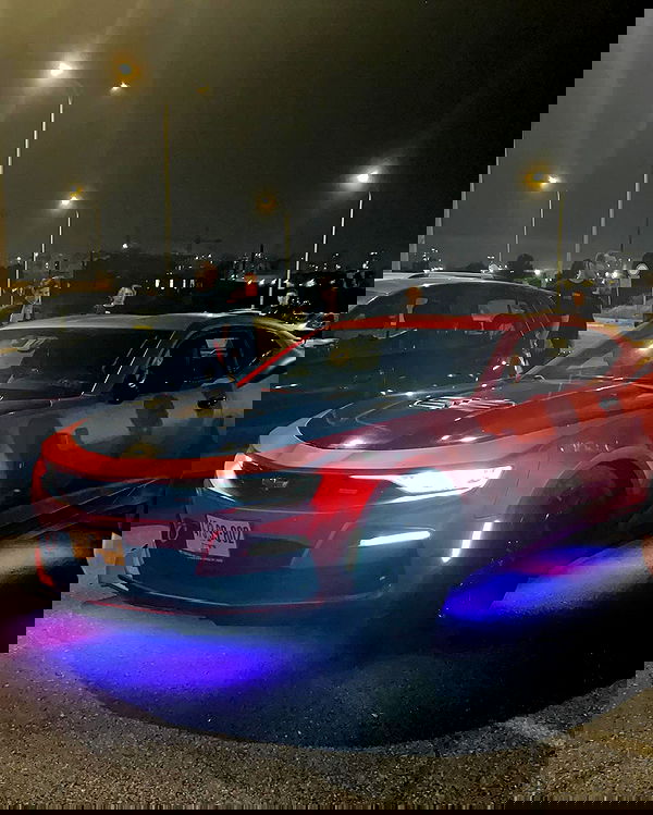 simp_for_cats_ simp_for_cats_ archive image