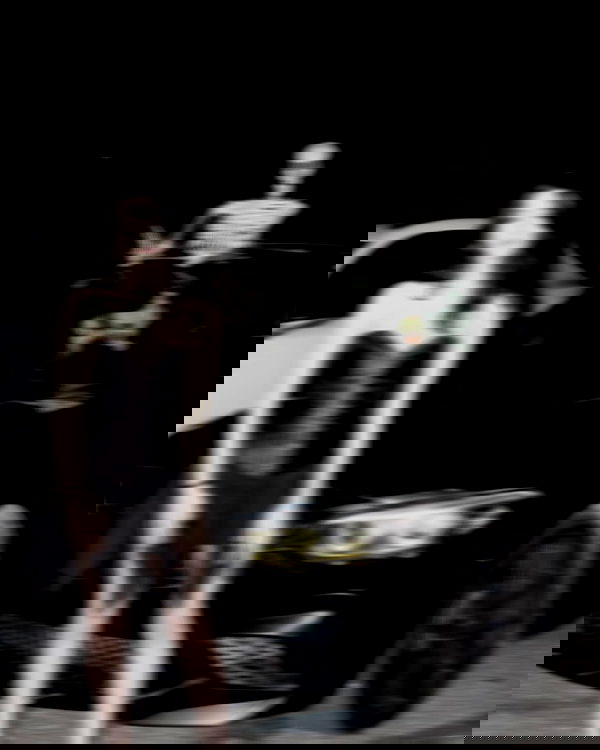 simp_for_cats_ simp_for_cats_ archive image