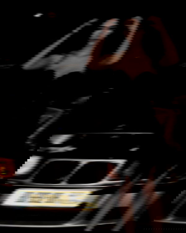 simp_for_cats_ simp_for_cats_ archive image