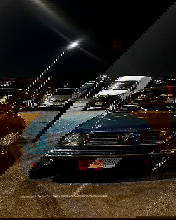 simp_for_cats_ simp_for_cats_ archive image