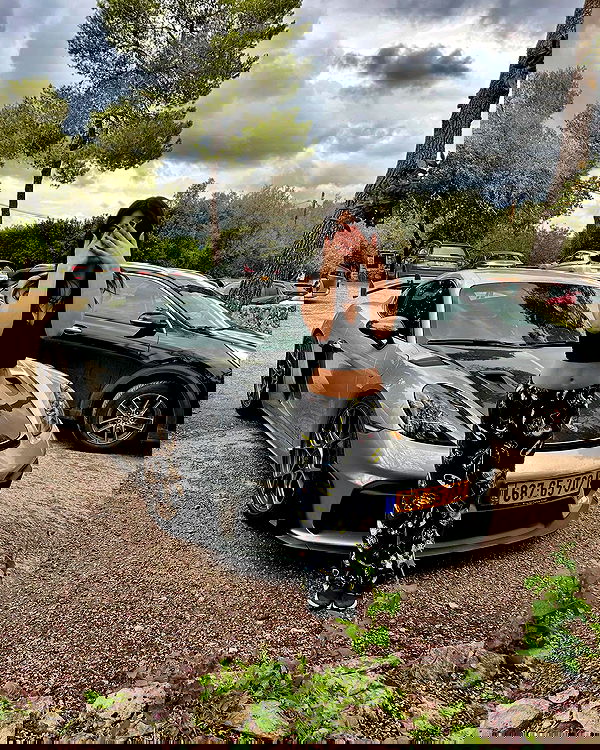 simp_for_cats_ simp_for_cats_ archive image