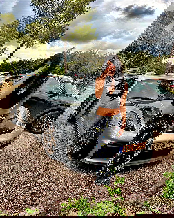 simp_for_cats_ simp_for_cats_ archive image