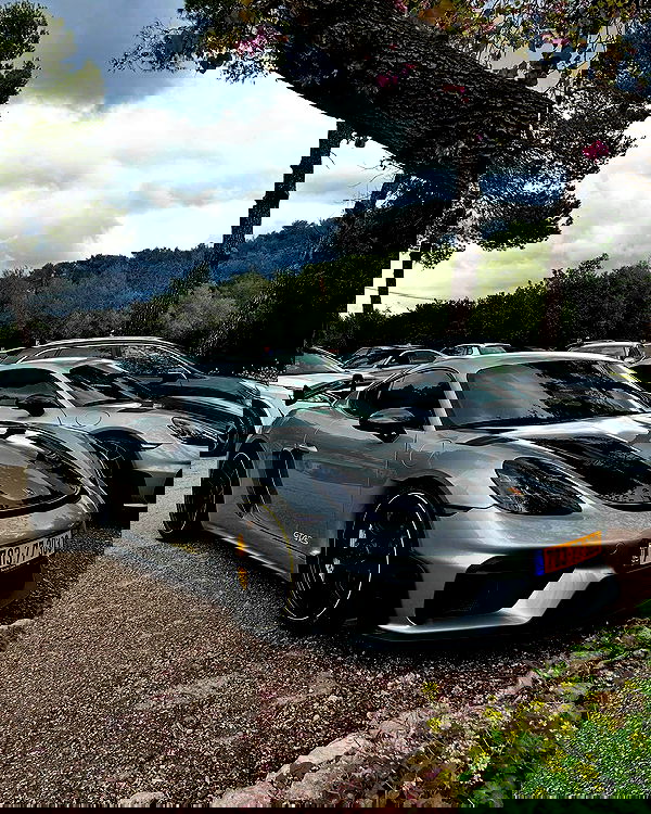 simp_for_cats_ simp_for_cats_ archive image