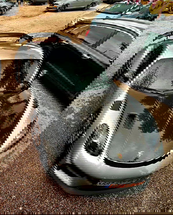 simp_for_cats_ simp_for_cats_ archive image