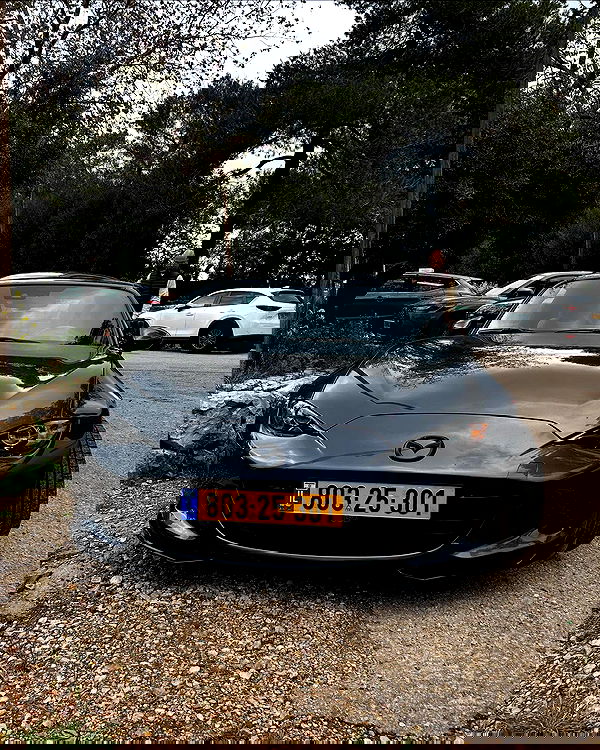 simp_for_cats_ simp_for_cats_ archive image