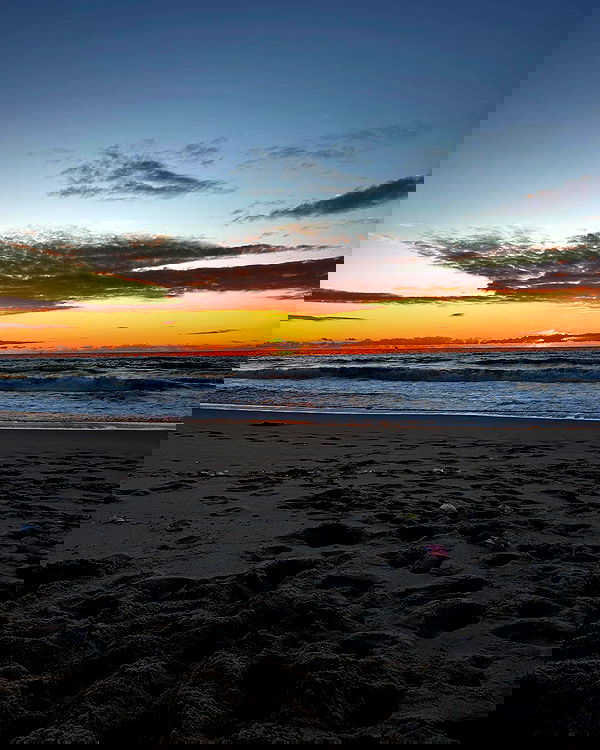 simp_for_cats_ simp_for_cats_ archive image