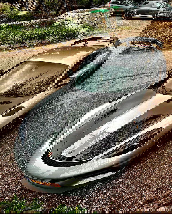 simp_for_cats_ simp_for_cats_ archive image