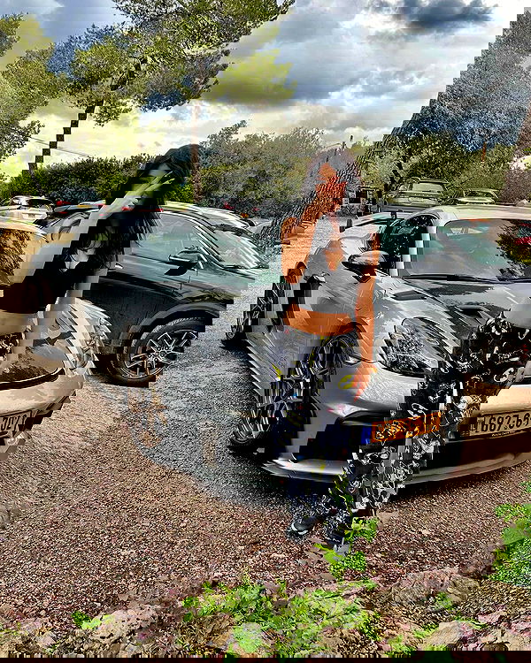 simp_for_cats_ simp_for_cats_ archive image