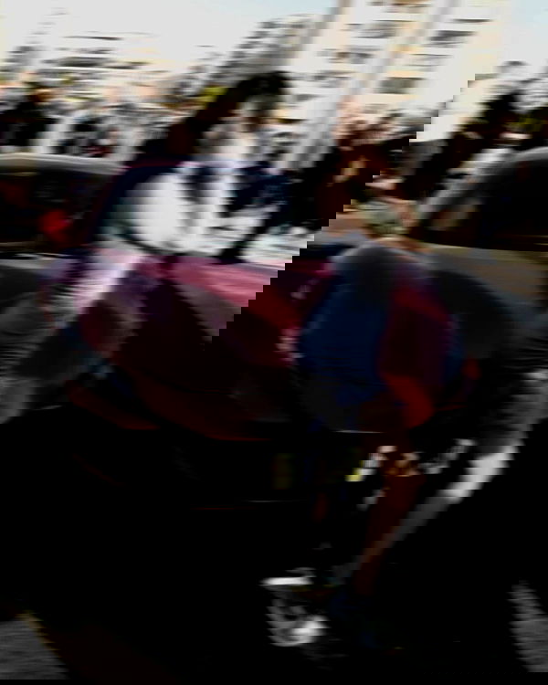 simp_for_cats_ simp_for_cats_ archive image