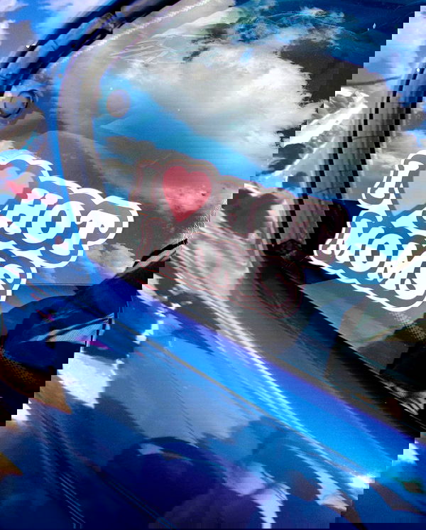 simp_for_cats_ simp_for_cats_ archive image