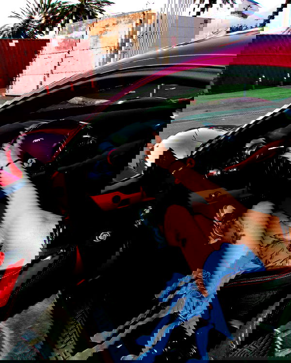 simp_for_cats_ simp_for_cats_ archive image