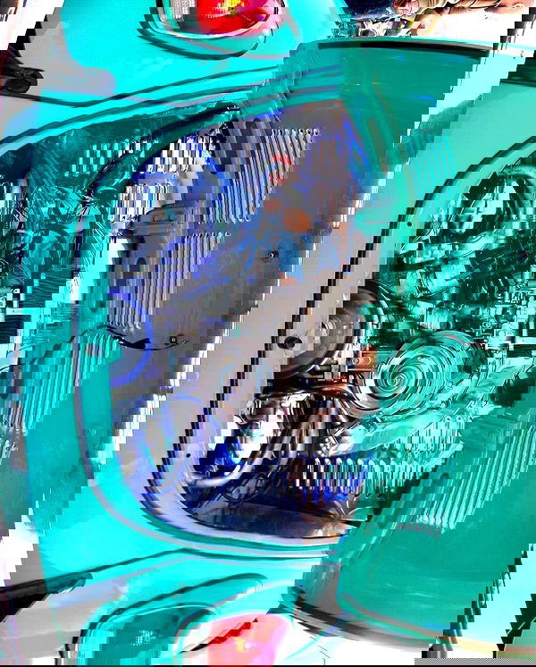 simp_for_cats_ simp_for_cats_ archive image