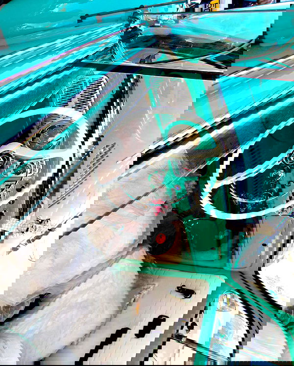 simp_for_cats_ simp_for_cats_ archive image