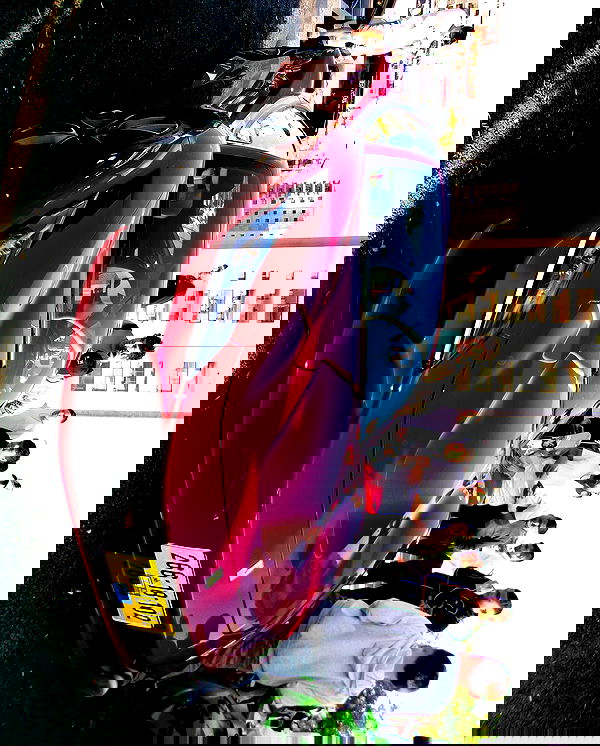 simp_for_cats_ simp_for_cats_ archive image