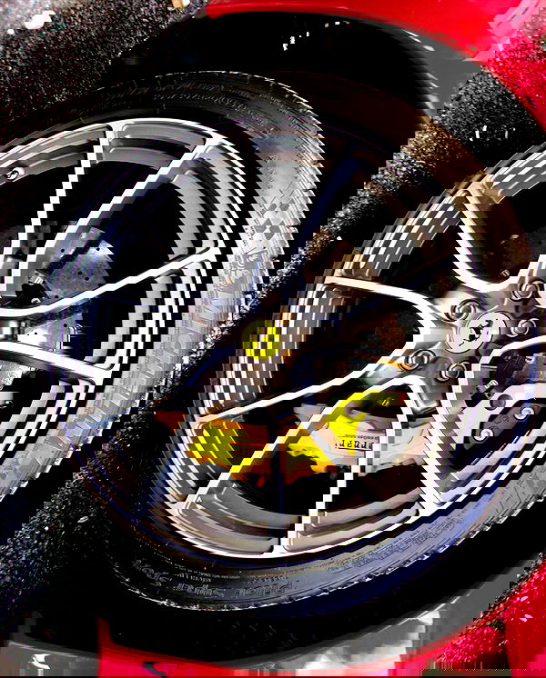 simp_for_cats_ simp_for_cats_ archive image