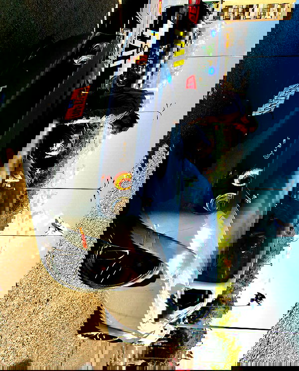 simp_for_cats_ simp_for_cats_ archive image