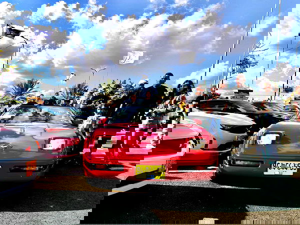 simp_for_cats_ simp_for_cats_ archive image