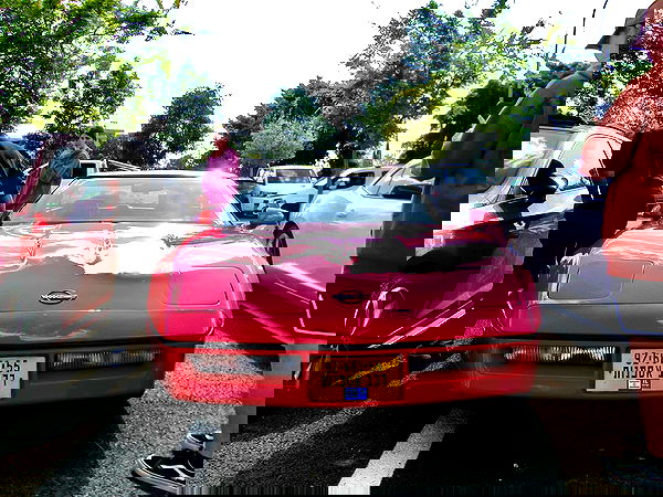 simp_for_cats_ simp_for_cats_ archive image