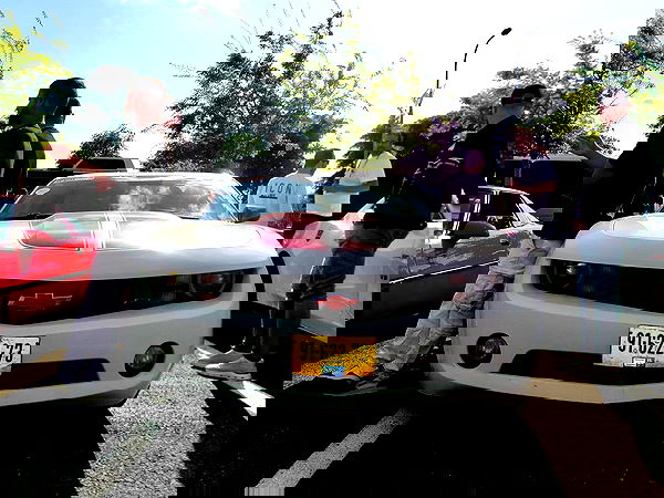 simp_for_cats_ simp_for_cats_ archive image