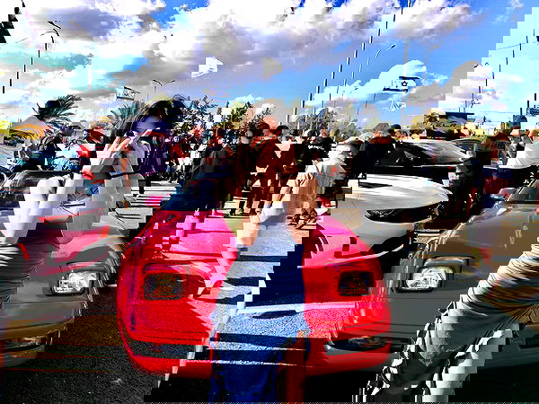 simp_for_cats_ simp_for_cats_ archive image