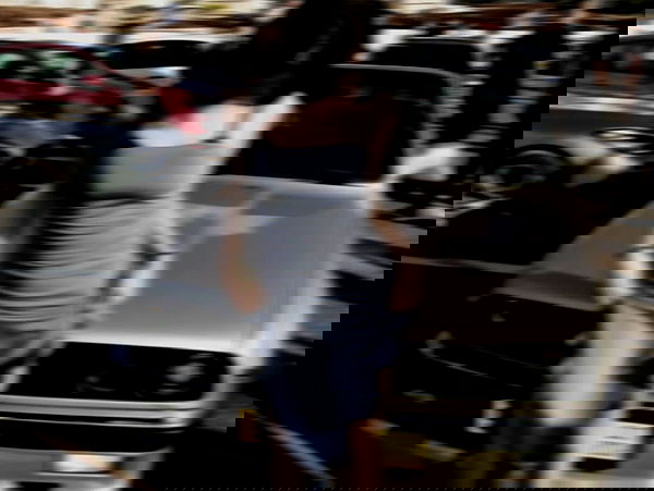 simp_for_cats_ simp_for_cats_ archive image