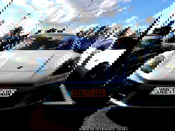 simp_for_cats_ simp_for_cats_ archive image