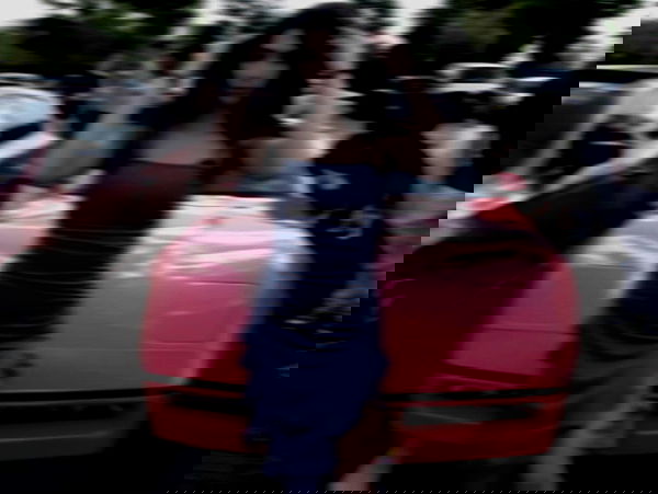 simp_for_cats_ simp_for_cats_ archive image