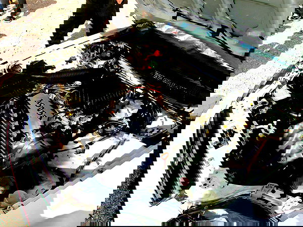 simp_for_cats_ simp_for_cats_ archive image