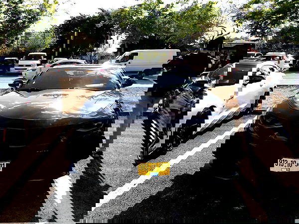 simp_for_cats_ simp_for_cats_ archive image