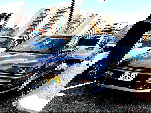 simp_for_cats_ simp_for_cats_ archive image