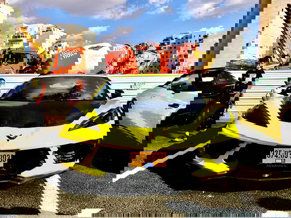 simp_for_cats_ simp_for_cats_ archive image