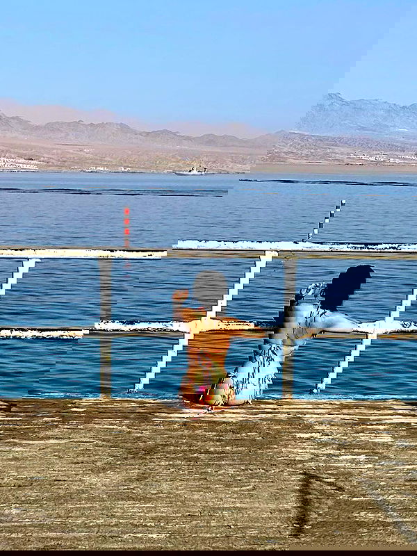 simp_for_cats_ simp_for_cats_ archive image