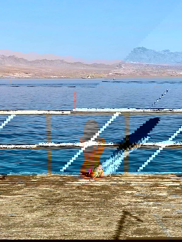 simp_for_cats_ simp_for_cats_ archive image