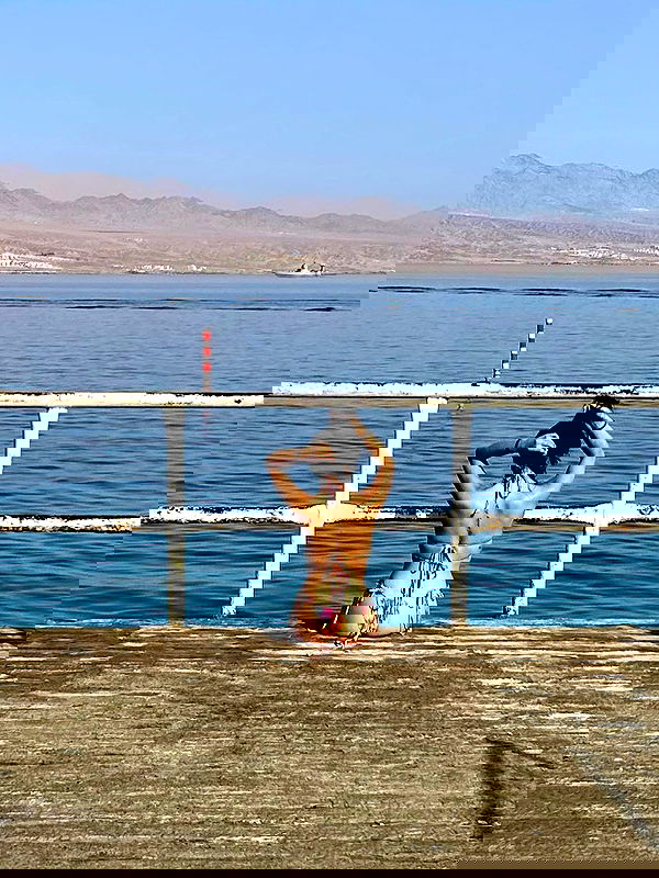 simp_for_cats_ simp_for_cats_ archive image