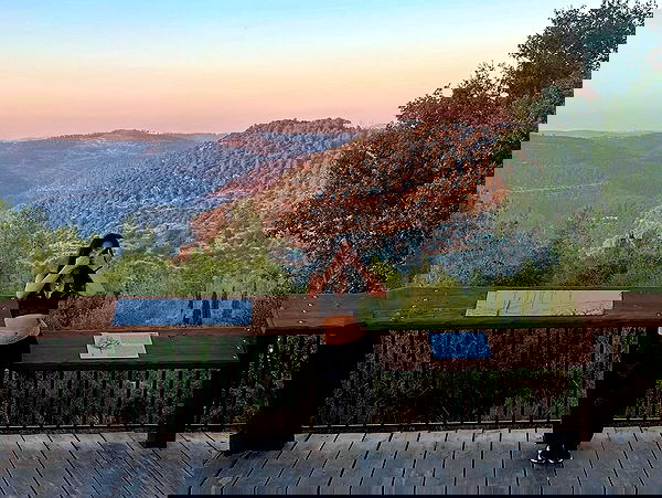 simp_for_cats_ simp_for_cats_ archive image