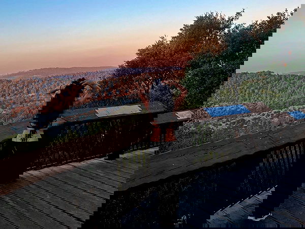 simp_for_cats_ simp_for_cats_ archive image