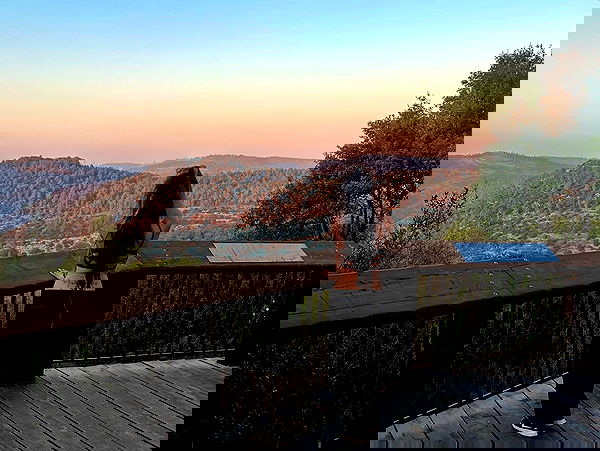 simp_for_cats_ simp_for_cats_ archive image