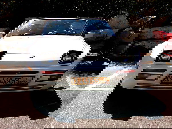 simp_for_cats_ simp_for_cats_ archive image