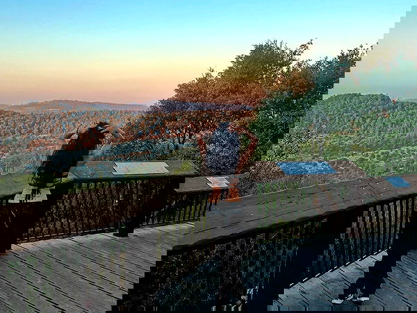 simp_for_cats_ simp_for_cats_ archive image