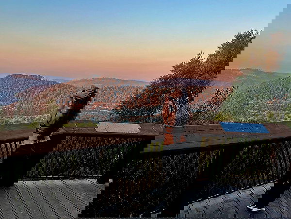 simp_for_cats_ simp_for_cats_ archive image