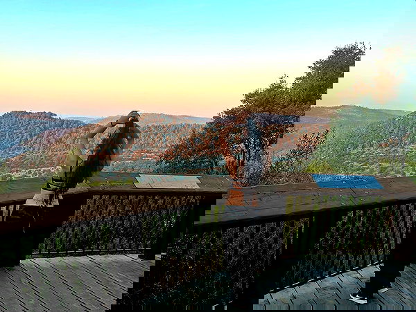 simp_for_cats_ simp_for_cats_ archive image