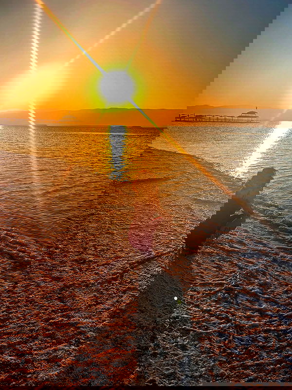 simp_for_cats_ simp_for_cats_ archive image